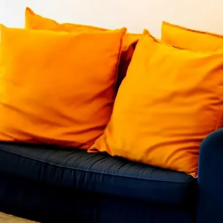 Superbe T2 De 50m2 Près De Genève à Julien En Genevois Idéal Pour Couple Avec 2 Enfants Jusqu'à 18 Ans Appartement *